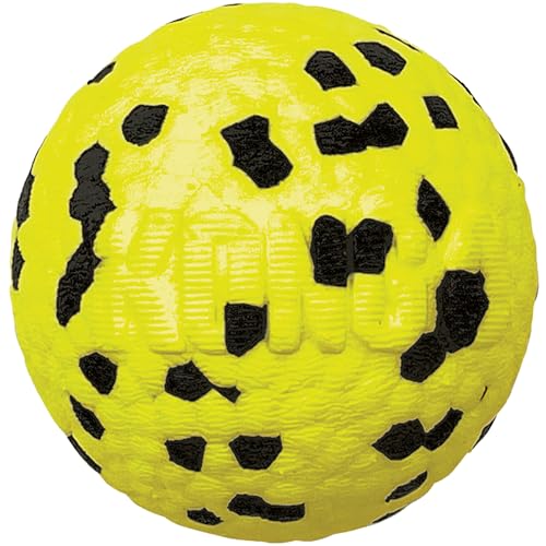 KONG Company 38749869 Hundespielzeug Reflex Ball, Md von KONG