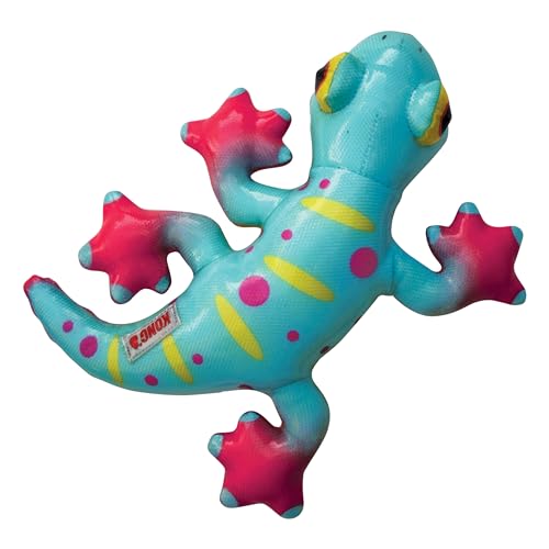 KONG Company 38750314: Shieldz Tropics Hundespielzeug, Gecko Md KONG Company 38750314: Shieldz Tropics Hundespielzeug, Gecko Md von KONG
