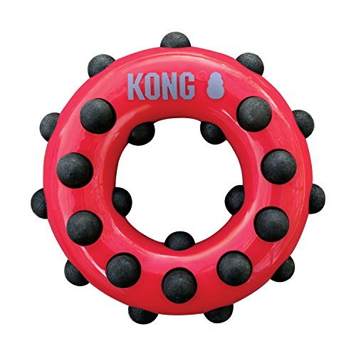 KONG – Dotz Circle – Hundespielzeug zum Kauen und zur Zahnreinigung – Für Große Hunde von KONG
