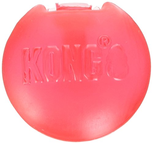 KONG Dr Noys Replacement Squeakers Dog Toy Large-Small von KONG