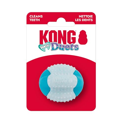 KONG Duets Dental Hundespielzeug – Erhöhte Noppen mit doppelten Texturen, um die Zähne zu reinigen und den Atem zu erfrischen (Ball (extra klein/klein)) von KONG