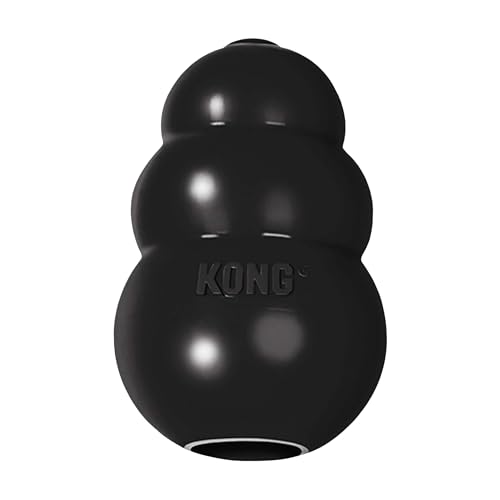 KONG Extreme Hundespielzeug - Apportier- und Kauspielzeug für Hunde mit starkem Biss - Leckerli-Spender - Strapazierfähiges Naturkautschukmaterial - Für Kleine Hunde KONG Extreme Hundespielzeug - Apportier- und Kauspielzeug für Hunde mit starkem Biss - Leckerli-Spender - Strapazierfähiges Naturkautschukmaterial - Für Kleine Hunde von KONG