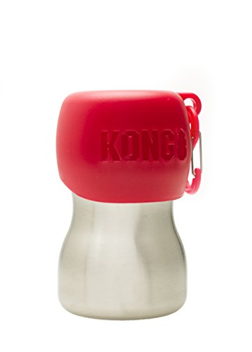KONG H2O KG95RED Stainless Edelstahl Wasserflasche, 0.28 L, S, rot, 1 Stück (1er Pack) von KONG