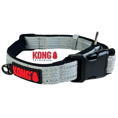 KONG Nylon Hundehalsband für große Hunde I Größe L I größenverstellbares Halsband Hund in grau I gepolstertes Halsband für Hunde mit Verschluss-Schnalle I reflektierendes Hundehalsband Nylon von KONG