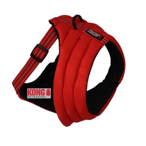 KONG Komfortables Hundegeschirr I hochwertiges Gurtzeug für Hunde I atmungsaktives Netzfutter I Verstellbarer Gurt I mehr Sicherheit durch reflektierende Streifen I schwarz I Größe: L KONG Komfortables Hundegeschirr I hochwertiges Gurtzeug für Hunde I atmungsaktives Netzfutter I Verstellbarer Gurt I mehr Sicherheit durch reflektierende Streifen I schwarz I Größe: L von KONG