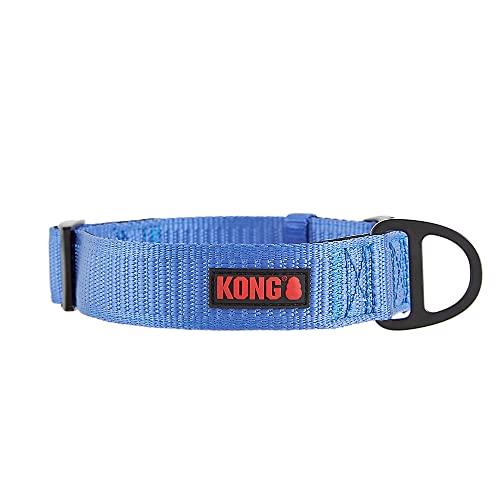 KONG Max HD Hundehalsband, ultra-strapazierfähig, gepolstert, Neopren, Größe M, Blau von KONG