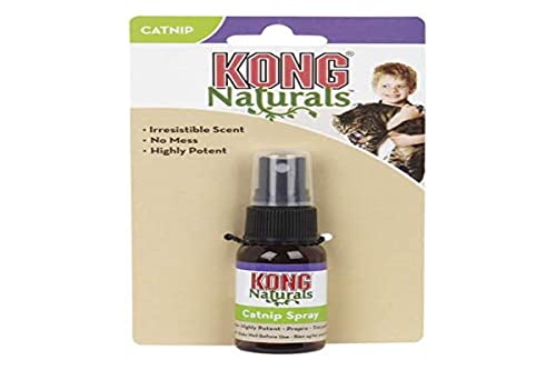 KONG – Naturals Catnip Spray für Katzen – 30 ml (1 Fluid Ounce) von KONG