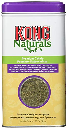 KONG Naturals Natürliche Katzenminze KONG Naturals Natürliche Katzenminze von KONG