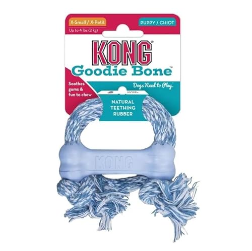 KONG Puppy Goodie Bone mit Seil – Zahnungsspielzeug für Welpen aus weichem Kautschuk – Hundespielzeug zur Zahnreinigung – für sehr kleine Hunde & Welpen bis 2 kg – rosa/blau KONG Puppy Goodie Bone mit Seil – Zahnungsspielzeug für Welpen aus weichem Kautschuk – Hundespielzeug zur Zahnreinigung – für sehr kleine Hunde & Welpen bis 2 kg – rosa/blau von KONG