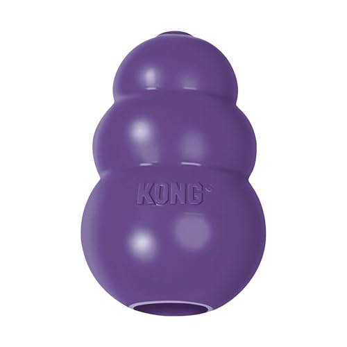 KONG Senior - Hundespielzeug mit sanftem Naturkautschuk - stopfbares Leckerlispielzeug für ältere Hunde - für mittlere Hunde KONG Senior - Hundespielzeug mit sanftem Naturkautschuk - stopfbares Leckerlispielzeug für ältere Hunde - für mittlere Hunde von KONG