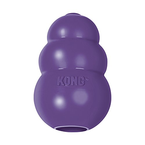 KONG Senior KONG Dog Toy, Medium, Purple by KONG von KONG