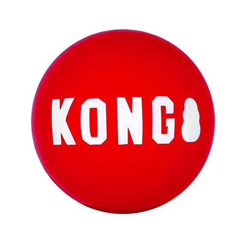 KONG – Signature Balls – 2er-Pack, Robuster Ball zum Jagen und Apportieren – Für Mittelgroße Hunde von KONG