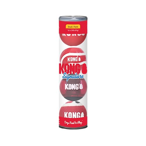 KONG Signature Bälle zum Apportieren und Apportieren (klein (4er-Pack) von KONG