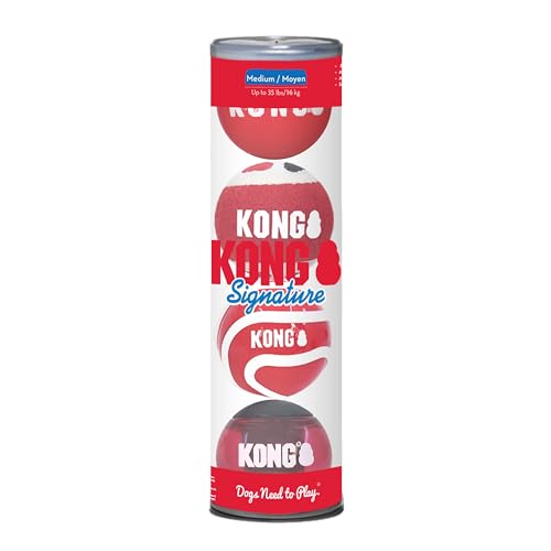 Kong Signature ballen assorti von KONG