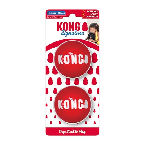 KONG Signature Ball für Hunde - Robustes Apportierspielzeug - 2er-Pack - Medium von KONG
