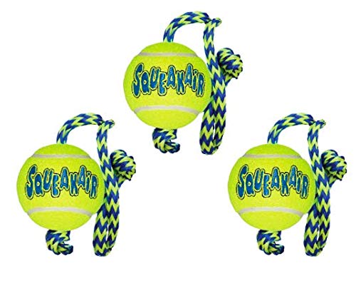 KONG SqueakAir Hundespielzeug Ball mit Seil, Medium, 3 Stück von KONG