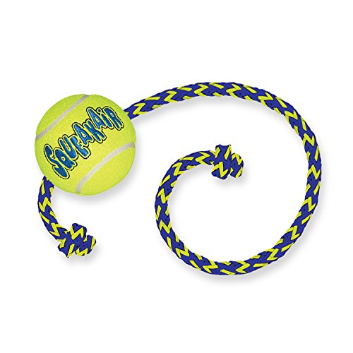 KONG – Squeakair Ball mit Seil – Premium-Hundespielzeug, Quietschende Tennisbälle, Zahnschonend – Für Mittelgroße Hunde KONG – Squeakair Ball mit Seil – Premium-Hundespielzeug, Quietschende Tennisbälle, Zahnschonend – Für Mittelgroße Hunde von KONG