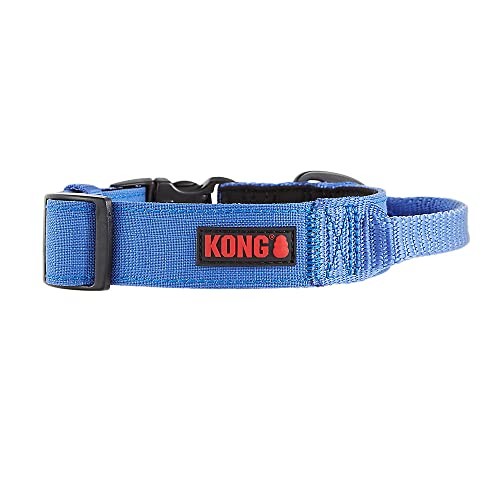 KONG Ultra-strapazierfähiges, gepolstertes Hundehalsband mit Komfortgriff, Größe L, Blau von KONG
