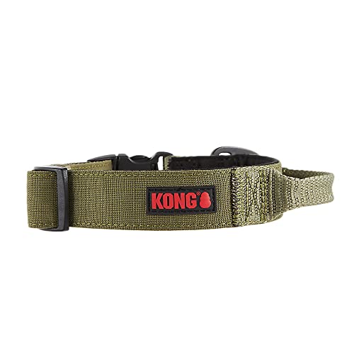 KONG Ultra-strapazierfähiges, gepolstertes Hundehalsband mit Komfortgriff, Größe L, Grün von KONG