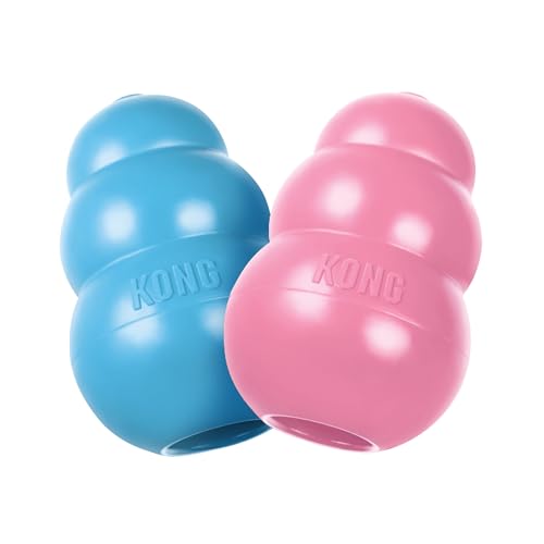 KONG-Welpe-Blau Sm von KONG