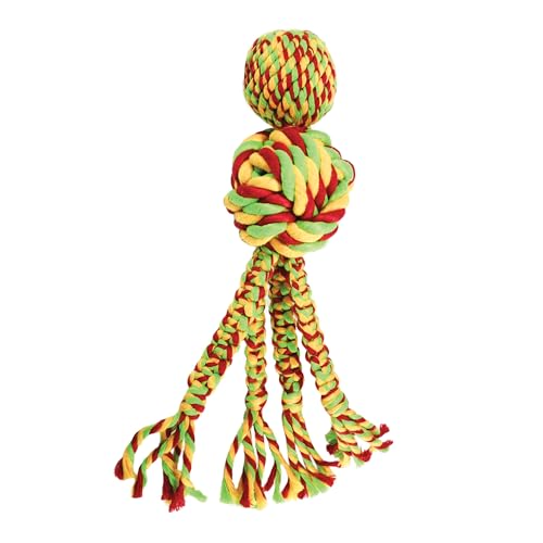 KONG - Wubba-Gewebe - S - 1 Stück: Hundespielzeug - Kauen, Holen, Schütteln, Ziehen - Mediumhunde - Multi KONG - Wubba-Gewebe - S - 1 Stück: Hundespielzeug - Kauen, Holen, Schütteln, Ziehen - Mediumhunde - Multi von KONG