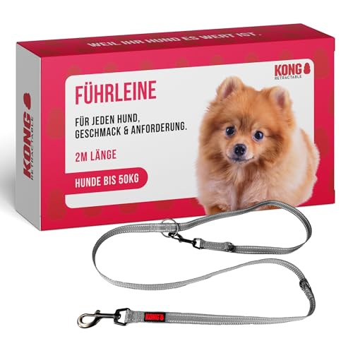 KONG robuste Hundeleine aus Nylon I grau I dreifach verstellbare Leine Hund I hochwertige Hundeführleine mit reflektierenden Elementen I Führleine Hund I Länge: 2 m I Breite: 19 mm KONG robuste Hundeleine aus Nylon I grau I dreifach verstellbare Leine Hund I hochwertige Hundeführleine mit reflektierenden Elementen I Führleine Hund I Länge: 2 m I Breite: 19 mm von KONG