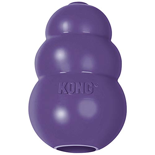 Kong 16020 Hundespielzeug Senior Large, 1 Stück (1er Pack) von KONG