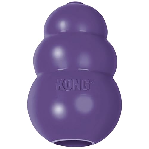 KONG Senior - Hundespielzeug aus Sanftem Naturkautschuk - Befüllbares Leckerli-Spielzeug für Ältere Hunde - Für Große Hunde von KONG