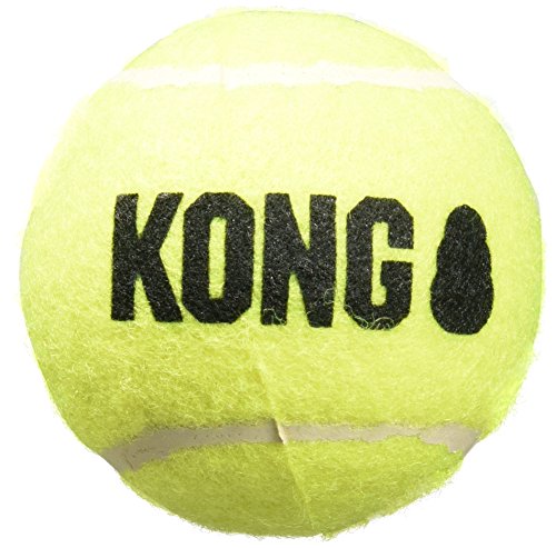 Kong Air Dog Squeakair Hundespielzeug, Tennisbälle, Medium, 3 Stück von KONG