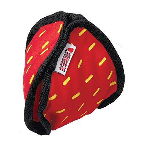 Kong Ballistic Hide 'N Treat Hundespielzeug, groß (zufällig Farbe) von KONG