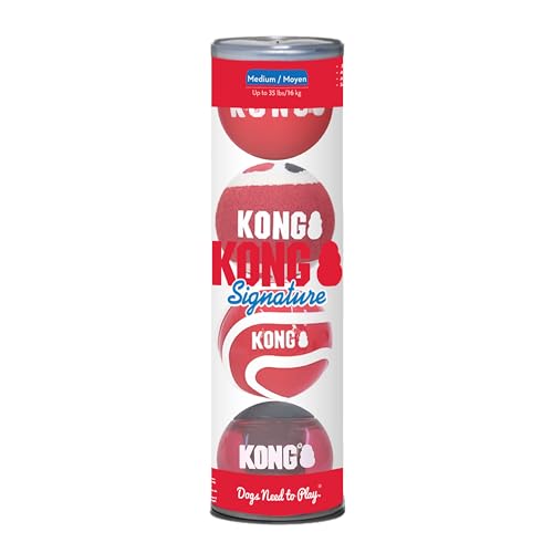 Kong Signature ballen assorti Kong Signature ballen assorti von KONG
