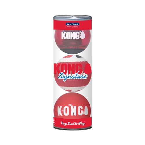 Kong Signature ballen assorti von KONG