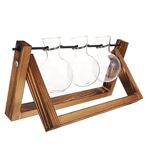 KONTONTY 1 Satz Grüner Pflanzenbehälter Luftpflanzen Vase hydroponische Pflanzen zimmerpflanzen House Plants einmachgläser Retro-Tischbirnenterrarium Birne Terrarium schwenkhalterung Glas von KONTONTY