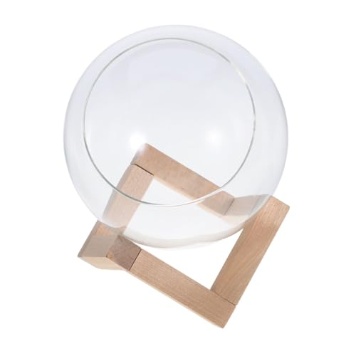 KONTONTY 1 Satz Mikrolandscape -Glasbehälter Ausbreitung Vasen Vermehrungsstand Vase für hydroponische Pflanzen hydroponischer Topf hydrokultur pflanzer Terrariumvase Holz Transparent KONTONTY 1 Satz Mikrolandscape -Glasbehälter Ausbreitung Vasen Vermehrungsstand Vase für hydroponische Pflanzen hydroponischer Topf hydrokultur pflanzer Terrariumvase Holz Transparent von KONTONTY