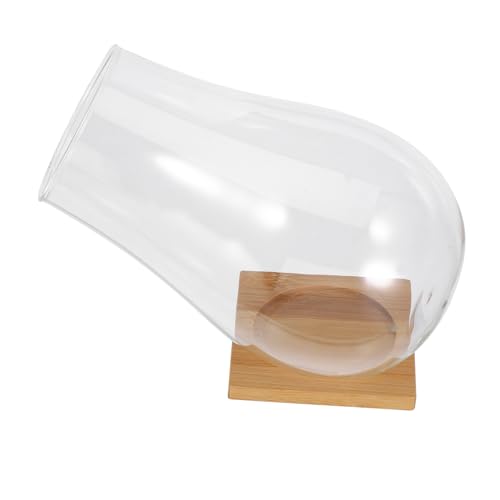 KONTONTY 1 Satz Pflanzenterrarium Glaspflanzenhalter transparente Flasche einfache Flasche kleine Terrarienschale Glasschalen dekorativ Moos Landschaft Container Landschaftscontainer Bambus KONTONTY 1 Satz Pflanzenterrarium Glaspflanzenhalter transparente Flasche einfache Flasche kleine Terrarienschale Glasschalen dekorativ Moos Landschaft Container Landschaftscontainer Bambus von KONTONTY