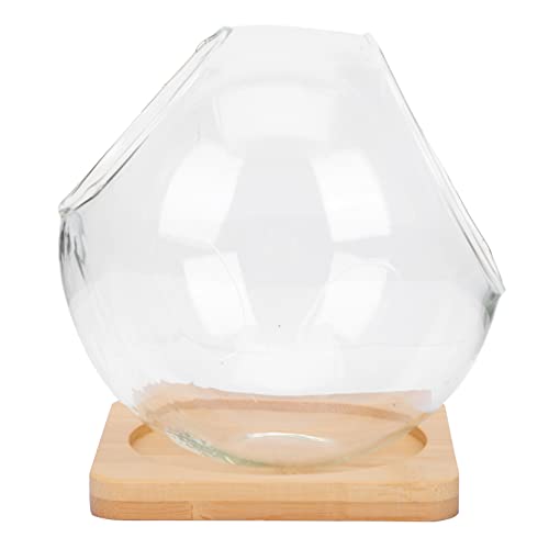 KONTONTY 1 Set Doppelt Schräge Flasche Mikro Terrarium Mini Blumentöpfe Blumen Terrarium Kaktuspflanzen Terrarium Glas Terrarium Blumentopf Dekorative Schreibtischdekoration von KONTONTY