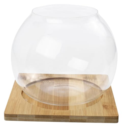 KONTONTY 1 Set Kleiner Fischtank Landschaftsbastelflasche Pflanzenaufbewahrungstopf Stein Ausstellungstopf Mikro Landschaftstopf Mikro Landschaftsvase Mikro Landschaftsbauflasche KONTONTY 1 Set Kleiner Fischtank Landschaftsbastelflasche Pflanzenaufbewahrungstopf Stein Ausstellungstopf Mikro Landschaftstopf Mikro Landschaftsvase Mikro Landschaftsbauflasche von KONTONTY