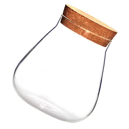 KONTONTY 1 Stück Glasflaschen Ornamente Terrarium Pflanzenglas Mit Korkdeckel Glasgefäß Mit Korkstopfen Sukkulentenpflanze Durchsichtiges Glas Pflanzgefäß Braune Flasche Aus KONTONTY 1 Stück Glasflaschen Ornamente Terrarium Pflanzenglas Mit Korkdeckel Glasgefäß Mit Korkstopfen Sukkulentenpflanze Durchsichtiges Glas Pflanzgefäß Braune Flasche Aus von KONTONTY