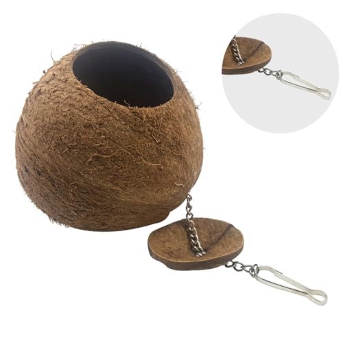 KONTONTY 1 Stück Kokosnussschalen-vogelnest Nester Schließen Kokosnussschalennest Material Hülse Drinnen Kokosnuss-vogelhaus Hängend Haustier Vogel Für Sittiche Züchten Kanarienvogel Bambus KONTONTY 1 Stück Kokosnussschalen-vogelnest Nester Schließen Kokosnussschalennest Material Hülse Drinnen Kokosnuss-vogelhaus Hängend Haustier Vogel Für Sittiche Züchten Kanarienvogel Bambus von KONTONTY