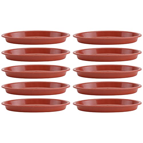 KONTONTY 10 Stück Blumenuntersetzer für Bonsai Töpfe Rote wasserdichte Pflanzschalen für Drinnen und Draußen Strapazierfähigem Kunststoff Leicht zu Reinigen und Langlebig KONTONTY 10 Stück Blumenuntersetzer für Bonsai Töpfe Rote wasserdichte Pflanzschalen für Drinnen und Draußen Strapazierfähigem Kunststoff Leicht zu Reinigen und Langlebig von KONTONTY