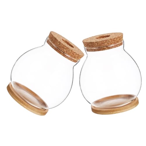 KONTONTY 2 Sätze Hydroponische Glasvase Tisch-pflanzgefäß Aus Glas Pflanze Terrarienvase Glas Terrarium Container Glasvase Zum Pflanzen Von Wasser Tischplatten -Terrarium Bambus Transparent von KONTONTY