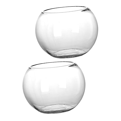 KONTONTY 2 Stück Landschaftsflasche Glasflasche für Mikrolandschaft Dekorative Glasflasche für Zimmerpflanzen Container drinnen Moosbehälter Pflanzen Terrarium Moos ökologisches Terrarium von KONTONTY