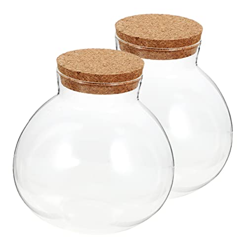 KONTONTY 2 Stück Öko Flasche Mikro Landschaftspflanzer Flasche Gartenpflanze Wasservase Wachsende Terrarien Pflanzenterrarium Durchsichtige Kuppelhülle Gefäß Terrarium Gefäß von KONTONTY