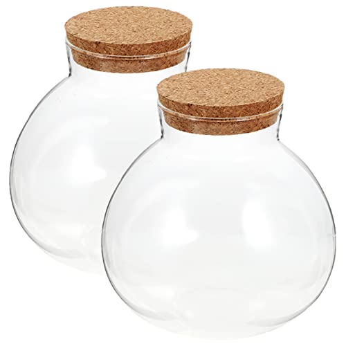 KONTONTY 2 Stück Öko Flaschen Erde Moos Terrarium Garten Große Terrariengläser Große Terrarienflasche Geschlossenes Terrariumglas Mikrolandschaft Hydrokulturpflanzen Fischglas von KONTONTY
