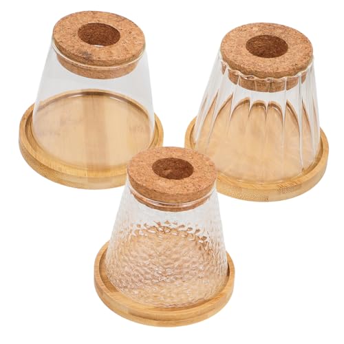 KONTONTY 3 Sätze Hydro ponische Pflanzen Flasche Terrarienpflanzer Vermehrungsgefäße Pflanzenvermehrungsvase Terrarienglas Desktop -Pflanzenständer Bambus Transparent KONTONTY 3 Sätze Hydro ponische Pflanzen Flasche Terrarienpflanzer Vermehrungsgefäße Pflanzenvermehrungsvase Terrarienglas Desktop -Pflanzenständer Bambus Transparent von KONTONTY