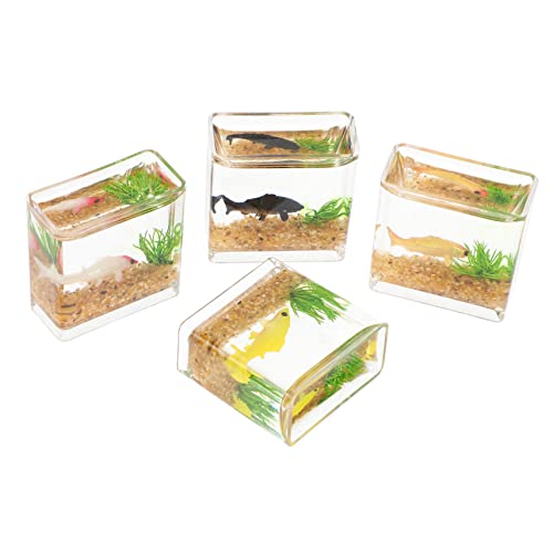 KONTONTY 4 Stück Miniatur Fisch Tanks Realistische Dekoration für Puppenhaus Kleine Aquarien Ornamente für Mini Haus Zubehör und DIY Projekte Zufällige Farbe von KONTONTY