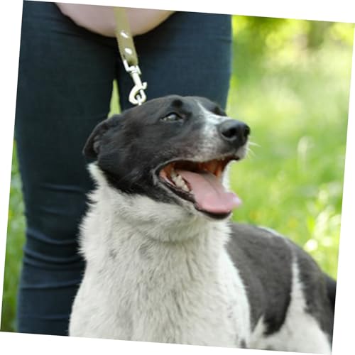 KONTONTY 6 Stück Teiliges Doppelkarabiner aus mit Drehgelenk Robust und Rostfrei Doppelseitige Schnapphaken für Hundeleine Training Spaziergang und Reisen für Zwei Haustiere KONTONTY 6 Stück Teiliges Doppelkarabiner aus mit Drehgelenk Robust und Rostfrei Doppelseitige Schnapphaken für Hundeleine Training Spaziergang und Reisen für Zwei Haustiere von KONTONTY