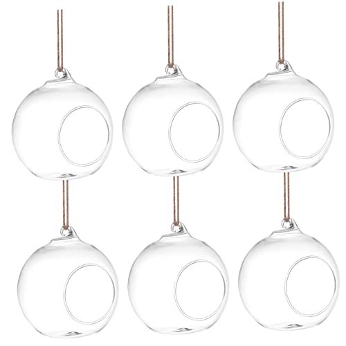 KONTONTY 6stücke Teiliges -Terrarium Für Sukkulenten Hängende Pflanzenhalter Für Stilvolle Wohnkultur Für Büro Und Dekorative Arrangements von KONTONTY