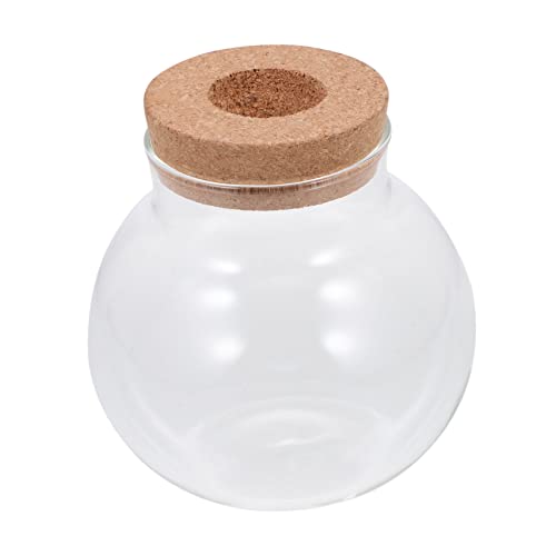 KONTONTY Aquarium klein Hydrokulturfische Mini Fischglas klarer Pflanzenbehälter offic wohnaccessoires Glasmaterial hochstihl dekorative Glasflasche Flasche mit Mikrolandschaft Transparent von KONTONTY