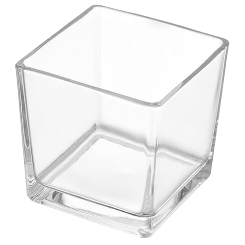 KONTONTY Blumentopf aus Glas büro Dekoration Office Decoration vase Buch blumentöpfe übertopf blumenvase Kernstück modern saftig Hydrokulturvase aus Glas grüne Pflanzenvase Transparent von KONTONTY